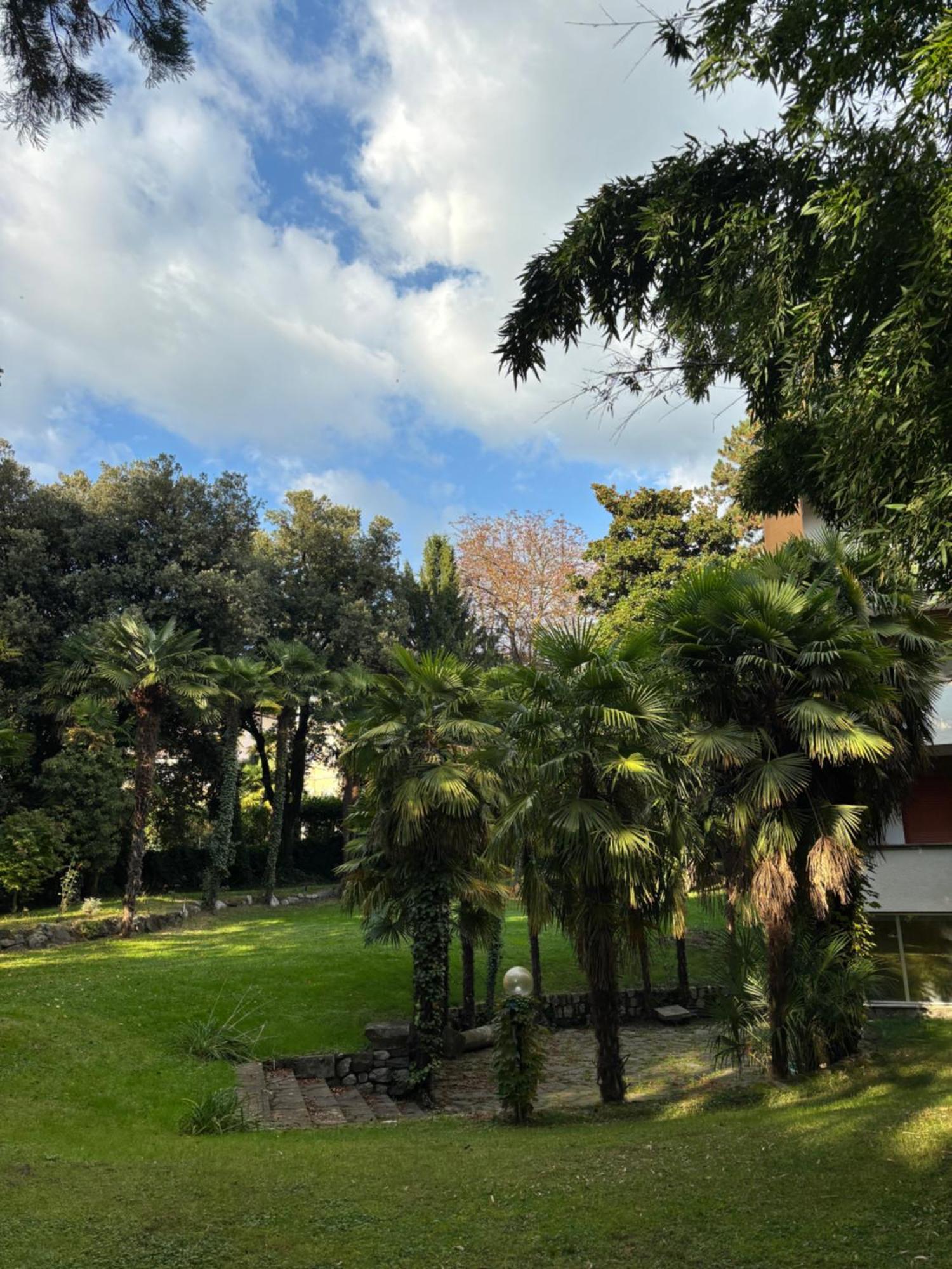 Central Palm Studio With Free Parking Merano Exterior photo